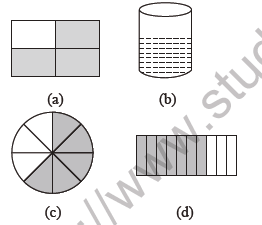 Class 4 Maths Halves and Quarters Worksheet
